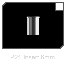 p21_insert_6mm.png